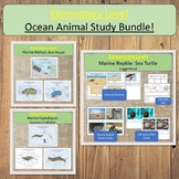 Elementary Marine Animal Study Ocean Study Bundle Montessori