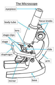 Preview of Elementary Microscope Parts Poster