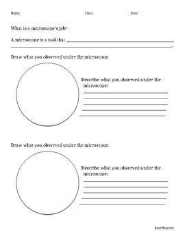 Preview of Elementary Microscopy Observation Worksheet