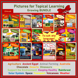 Elementary Topics picture cards description GROWING BUNDLE