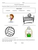 volleyball test website