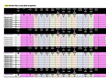 Preview of Elementary Year-Long Literacy Data Spreadsheet