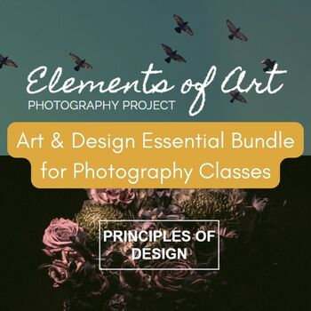 Elements & Principles Bundle by Picture Earth Projects | TPT