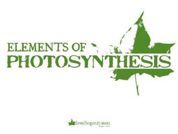 Preview of Elements of Photosynthesis