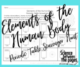 Elements of the Human Body Periodic Table Scavenger Hunt