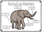 Elephant Anatomy Labeling- Parts of an Elephant