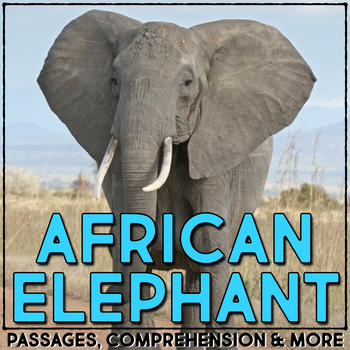 Preview of Elephant Animal Research Report Nonfiction Reading Passage & Comprehension