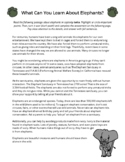 Elephant Conservation Reading Comprehension Exercise