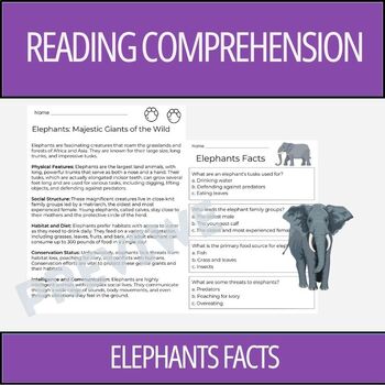 Preview of Elephant Facts - Reading Comprehension Activity | 2nd Grade & 3rd Grade