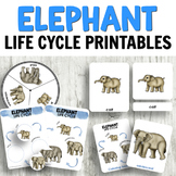 Elephant Life Cycle Activities