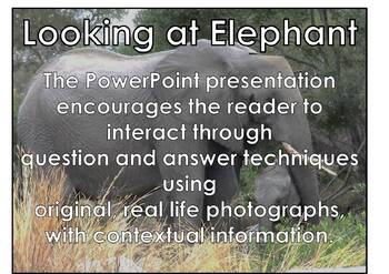 Preview of AFRICAN ANIMALS: Elephant - PowerPoint presentation