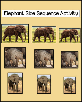 Preview of Elephant Size Sequence Activity