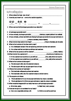 Elephant Toothpaste Science Experimental Worksheet for kids by Smiley