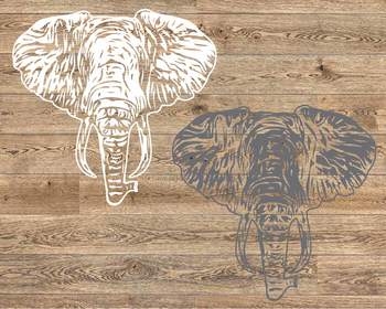 Elephant Head Svg Trunk Tusk Jungle Animal Safari African Boho Logo 1243s