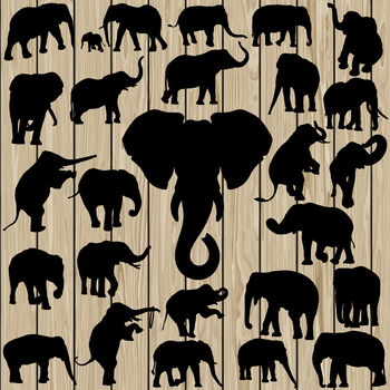 Download Jungle Animals Svg Files Worksheets Teaching Resources Tpt