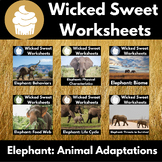 Elephants | Animal Adaptations | Article | Multiple Choice