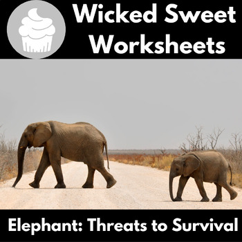 Elephants | Animal Adaptations | Threats to Survival | Article