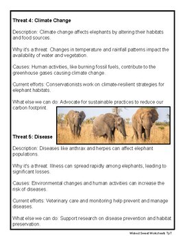 Elephants | Animal Adaptations | Threats to Survival | Article