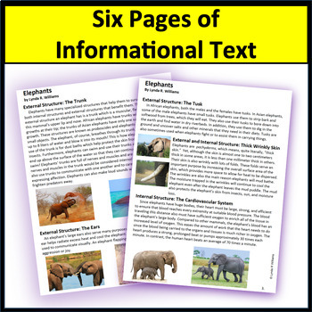 Reading Comprehension on Elephants | Animal Adaptations | TpT