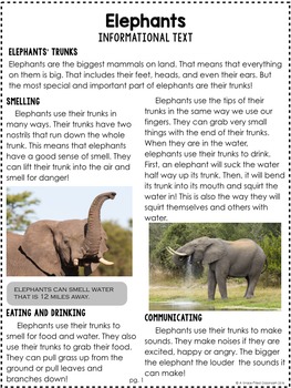 elephants informational text story poem by a grace filled classroom