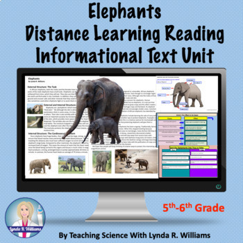 Preview of Elephants Informational Text Unit Online Learning Summer Reading Passages