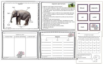 Preview of Elephants Mini Unit: Nonfiction mini book, fact sheet, games, worksheets
