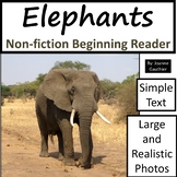 Elephants: Non-fiction animal e-book for beginning readers