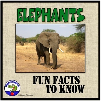 Preview of Elephants PowerPoint - Informational Text and Fun Facts