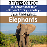 Elephants Reading Comprehension Passages (Informational Te
