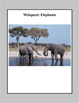 Preview of Elephants -Webquest
