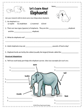 Elephants Adaptations Webquest Reading Research Activity Common Core