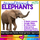 Elephants . 5 days of awesome research mixed w/ literacy s