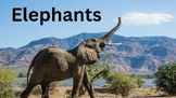 Elephants Zoology Engaging PowerPoint Presentation with An