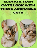 Elevate Your Cat's Look with These Adorable Cuts