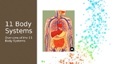 Eleven Body Systems PowerPoint (function and parts of each)