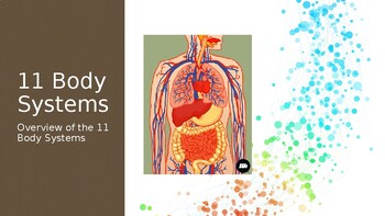 Preview of Eleven Body Systems PowerPoint (function and parts of each)