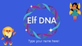 Elf DNA: Protein Synthesis