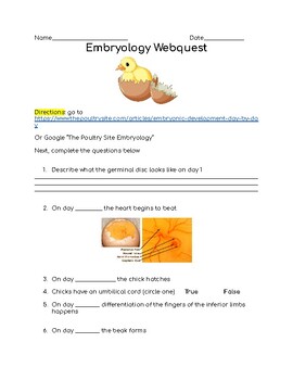 Preview of Embryology Webquest - Chicken development