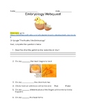 Embryology Webquest - Chicken development