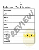 Freebie! - Embryology Word Scramble - Middle & Highschool