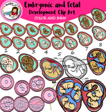 Embryonic and Fetal Development