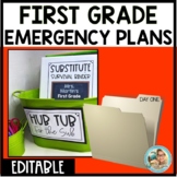 Emergency SUB Plans FIRST GRADE | Editable | TEN DAYS of PLANS