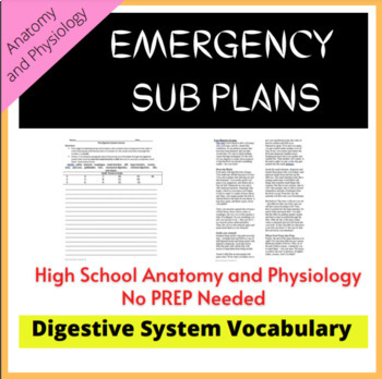 Preview of Emergency Sub Lesson Plan Anatomy and Physiology Digestive System Writing
