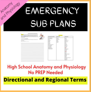 Preview of Emergency Sub Lesson Plan Anatomy and Physiology Directional/Regional Terms