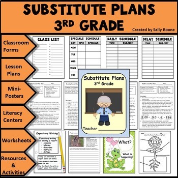 Preview of Emergency Substitute Lesson Plans Grade 3