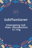 Emergency Sub Plan: Introduction to Trigonometry