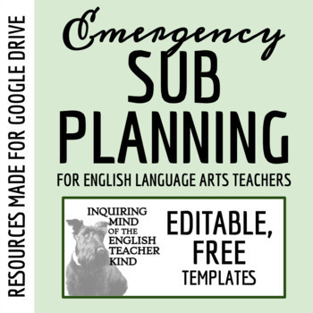 Preview of Emergency Sub Plan Templates for High School (Google Drive)