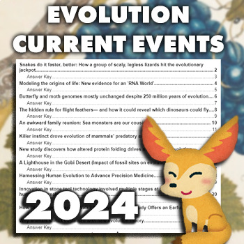 Preview of Emergency Sub Plans: 12 Evolution 2024 Current Event Worksheets