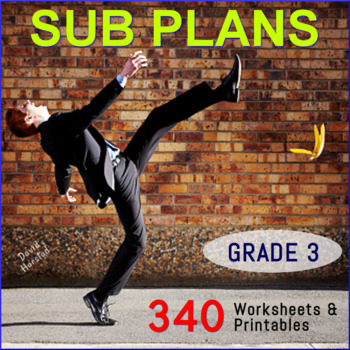Preview of Emergency Sub Plans 3rd Grade