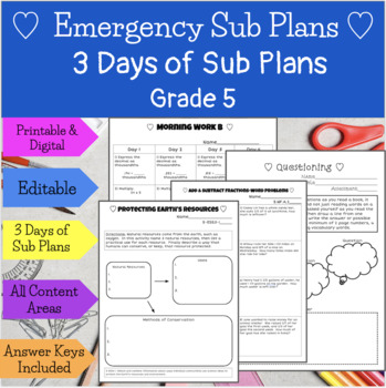 Preview of Emergency Sub Plans 5th Grade-3 DAYS!